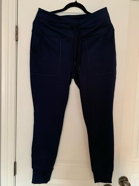Spyder Navy Blue Track Joggers